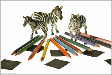 zebres, crayons, carrés noirs, fond blanc, photographie ducruet