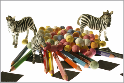 zebres et boules de couleur, crayons, fond blanc, DUCRUET