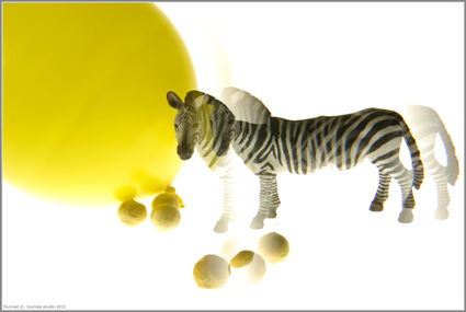 ballon jaune, fond blanc avec zebre, photographie Ducruet