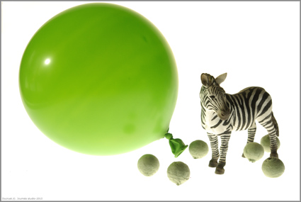 ballon vert et zebre